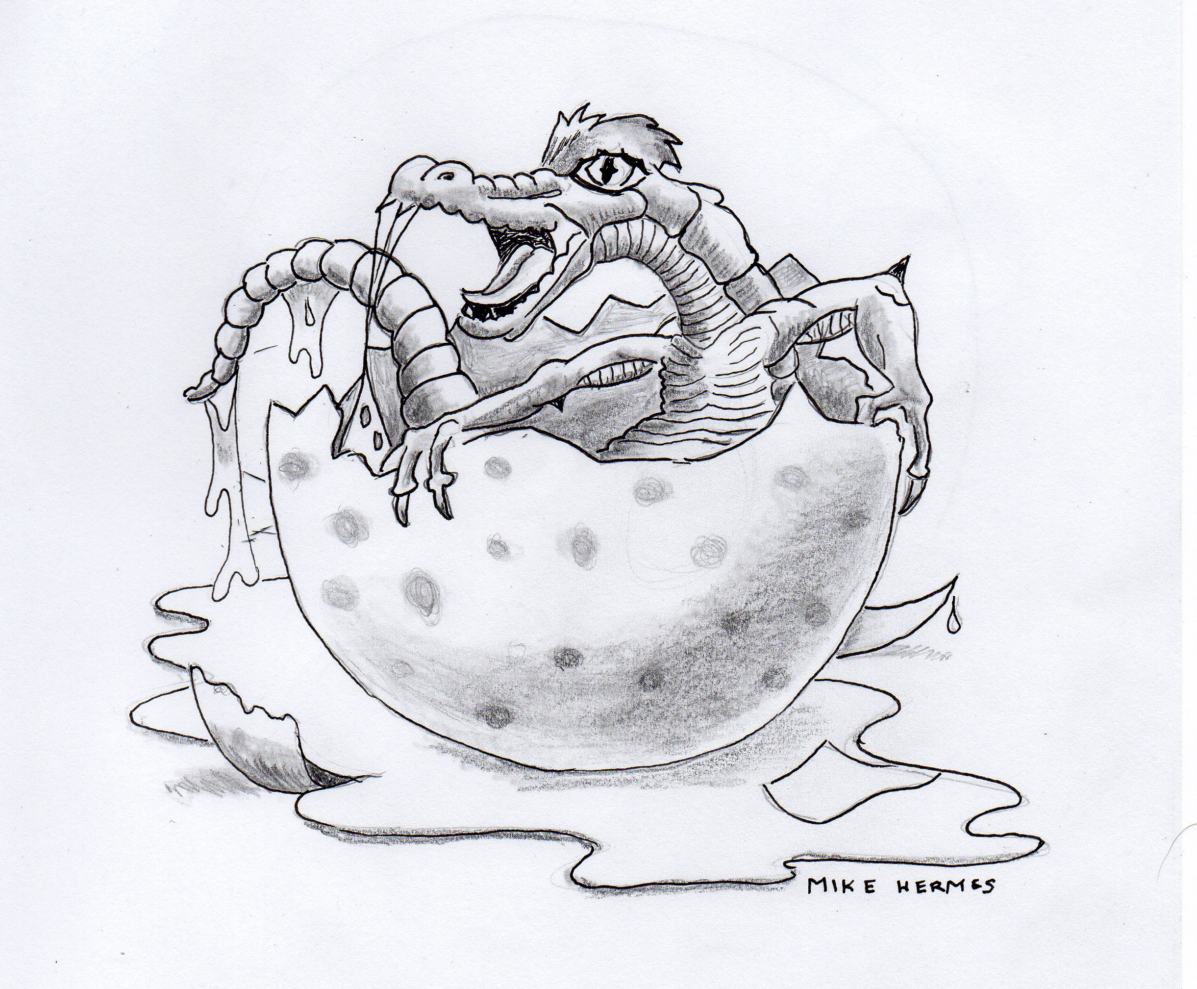 pencil drawings of baby dragons hatching